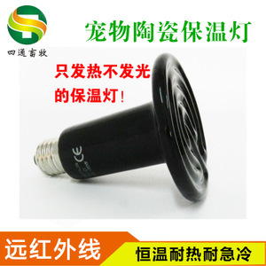 探尋寵物蜂產(chǎn)業(yè) 從價(jià)格、采購(gòu)到供應(yīng)商的全面解析